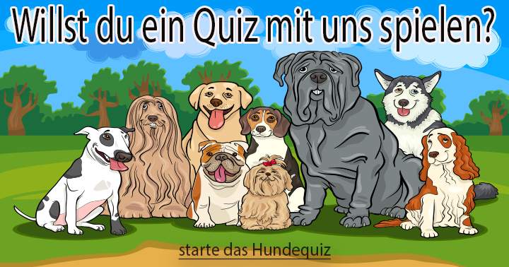 Hundequiz