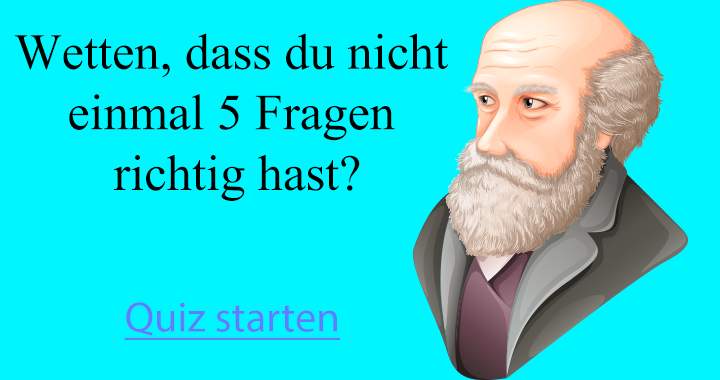 Keiner hat mehr als 5 Fragen richtig